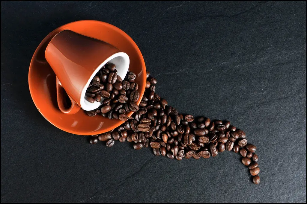 Guía de nuestros cafés de origen