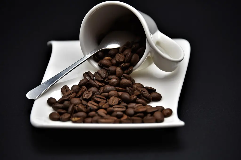 Mitos comunes sobre el café de especialidad