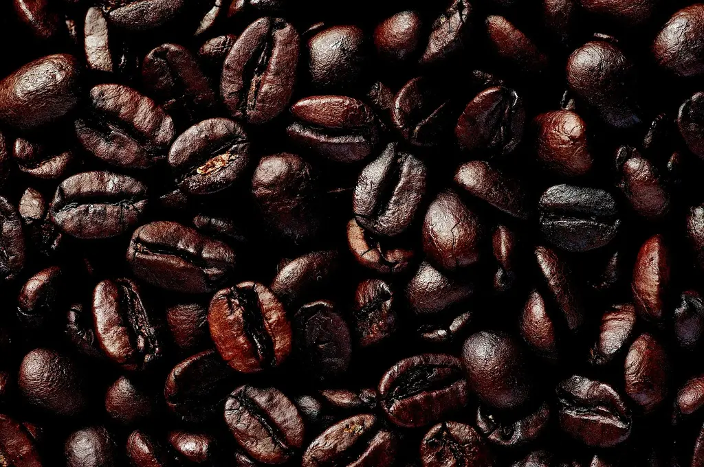 Introducción al café de origen para principiantes