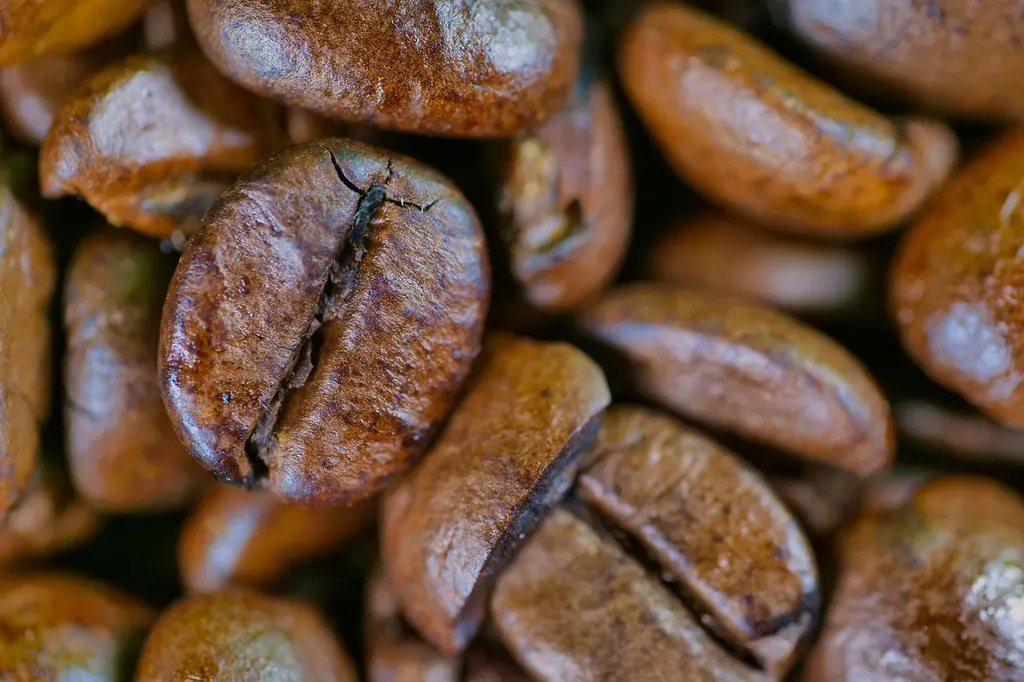 Comparativa: Métodos de preparación de café